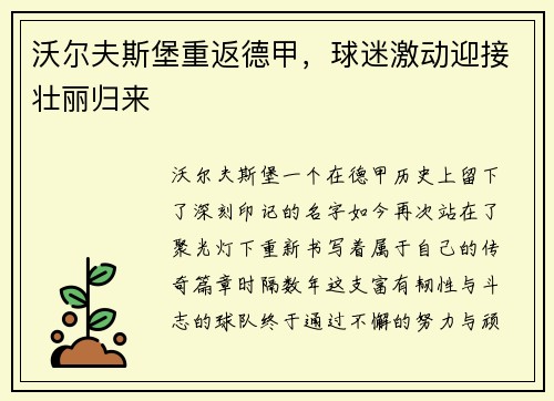 沃尔夫斯堡重返德甲，球迷激动迎接壮丽归来